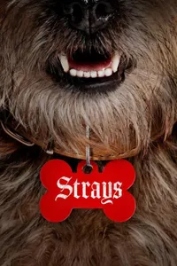 Strays izle
