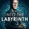 Into the Labyrinth fragman izle
