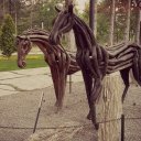 y_bozan adlı kullanıcı